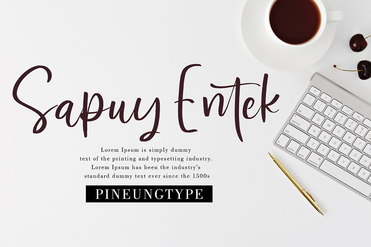 Bermesta, a Script Font by pineungtype (Photo 2 of 8)
