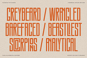 SLTF Snowpack - Ultra Condensed Font, a Sans Serif Font by SilverStag Type Foundry (Thumbnail 13 of 30)