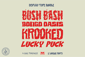 Font Collection | 4 Unique Styles