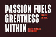 Minoru Modern Sans Serif Font, a Sans Serif Font by Perfectype (Thumbnail 2 of 7)