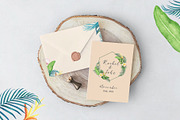 Tropical Collection, a Decorative Illustration by endita (Thumbnail 9 of 14)