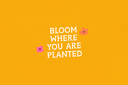 Positive Mindset Handmade Serif Font, a Serif Font by Kaya Fonts (Thumbnail 25 of 32)