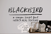 Blackbird crayon script SVG font, a Script Font by Ana's Fonts (Thumbnail 1 of 9)