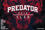 Predator 0316 Slab, a Sans Serif Font by Eargle Design, LLC (Thumbnail 1 of 8)