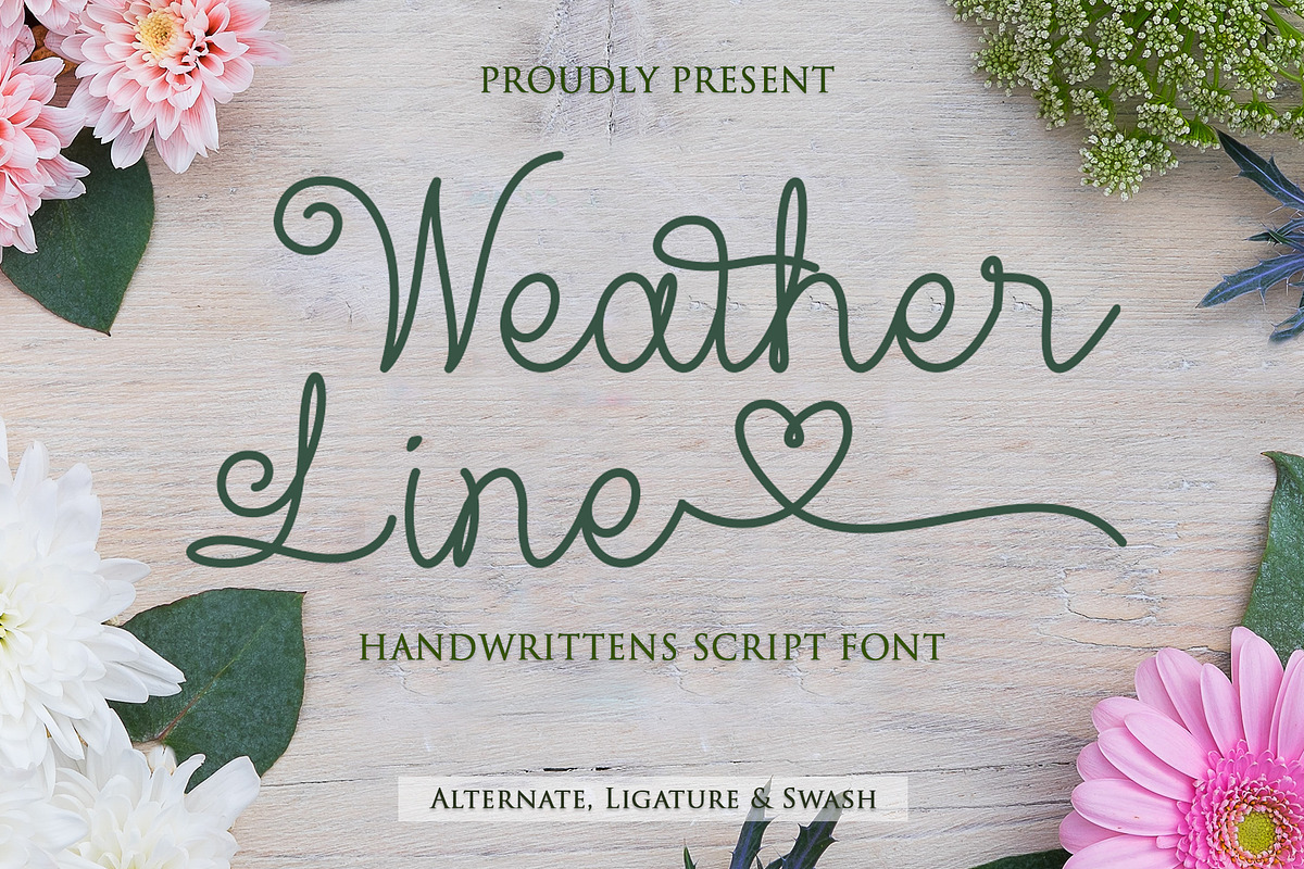 Weather Line - Line Style, a Script Font by Akfa Studio (Photo 1 of 7)