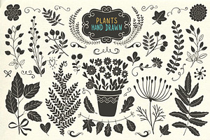 Hand Drawn Animals And Plants