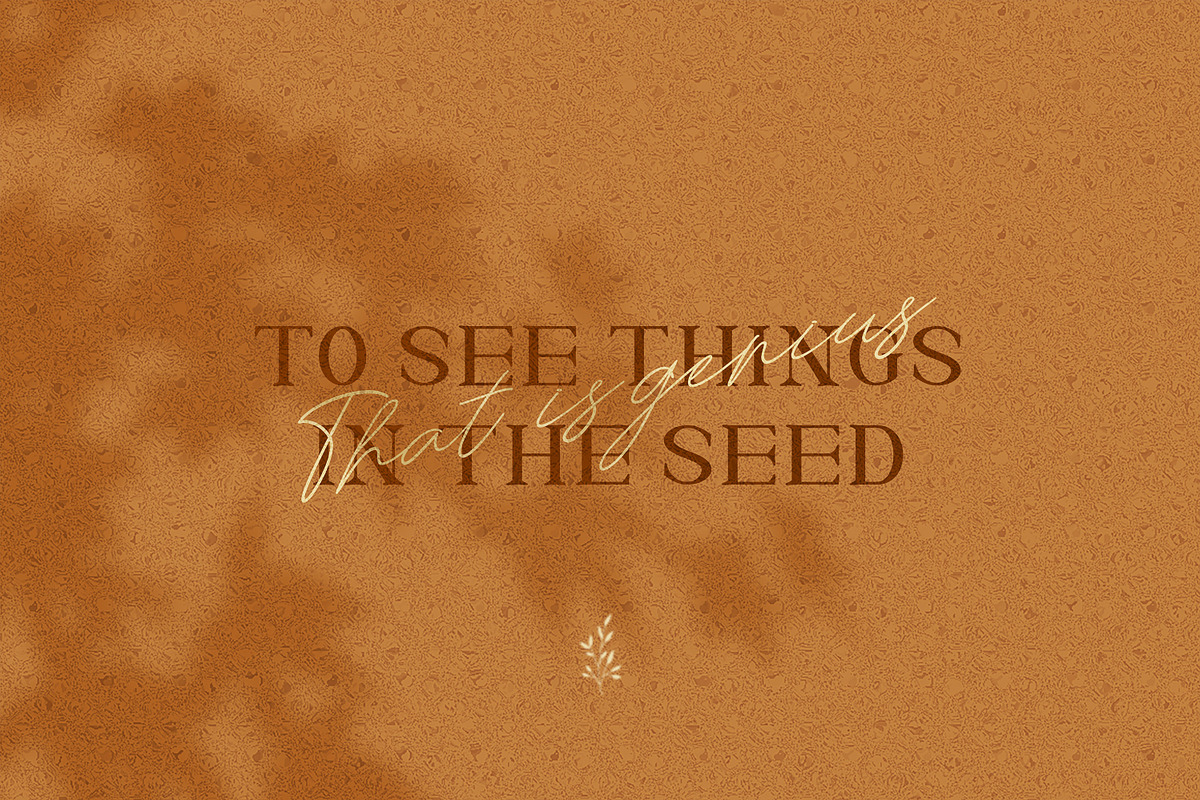 Riglia - Luxury Serif Font, a Serif Font by Creavora (Photo 9 of 9)