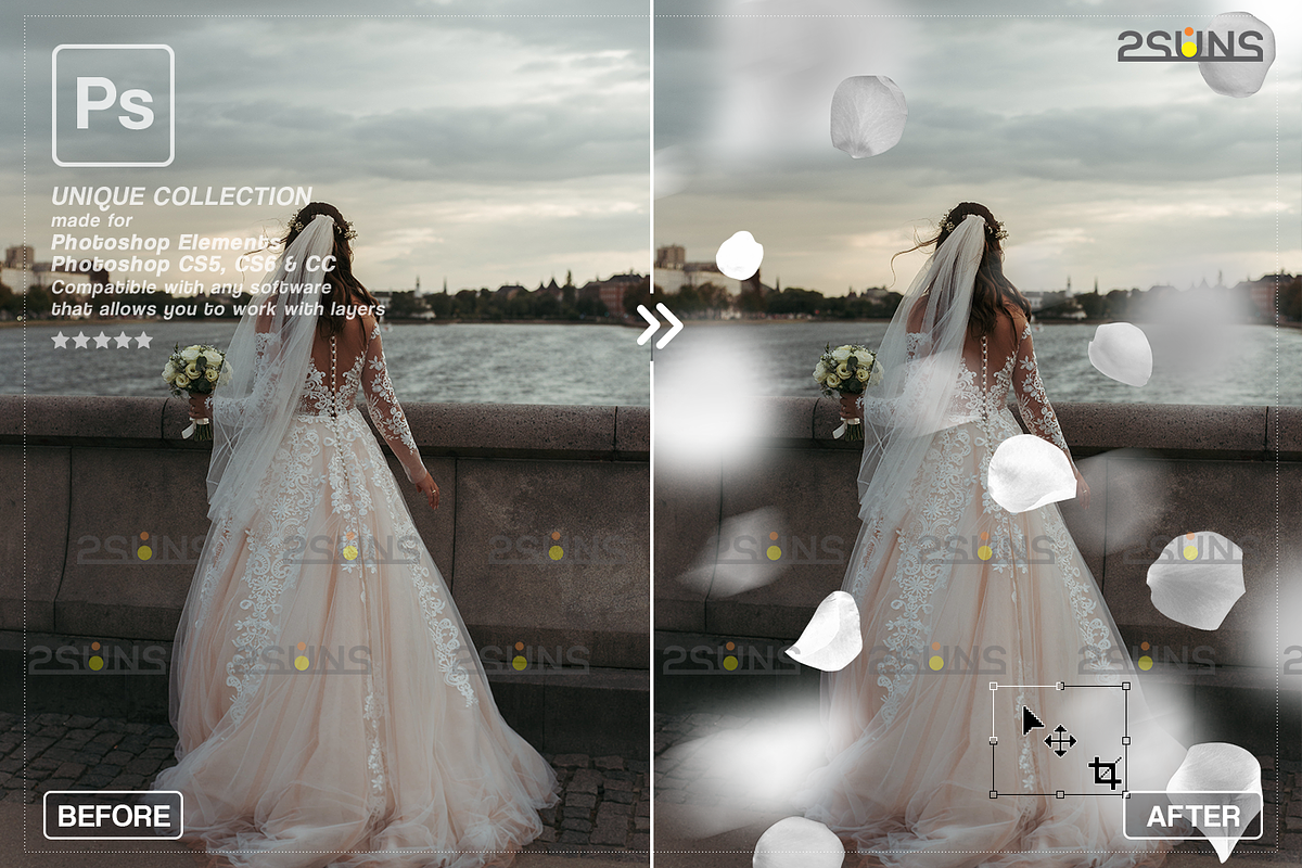 White Rose Petals photo overlays, an Object Graphic by 2SUNS (Photo 6 of 9)