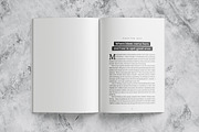 Simple Book Template, a Brochure Template by Template Temple (Thumbnail 6 of 15)