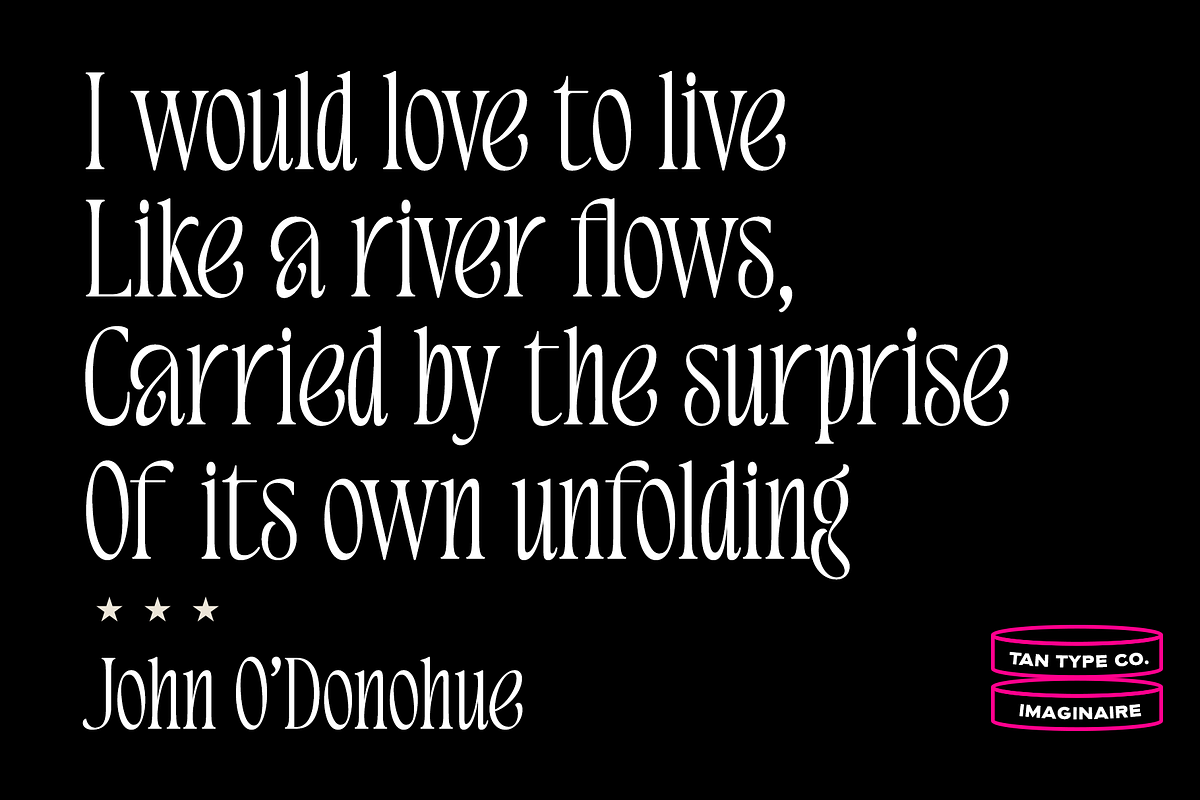 TAN - IMAGINAIRE, a Serif Font by TanType (Photo 3 of 12)