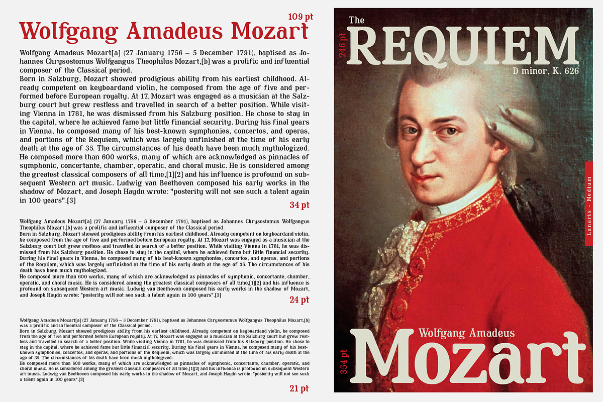 Lunaris - Serif Font Family, a Serif Font by Artistic & Unique (Photo 13 of 14)