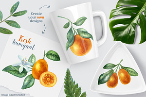 Fresh Citrus Watercolor Clipart.