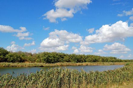 Landscape With Country Road preview 6