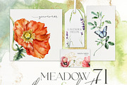 SUMMER MEADOW wildflower watercolor, a Decorative Illustration by Yuliya Derbisheva (Thumbnail 14 of 16)