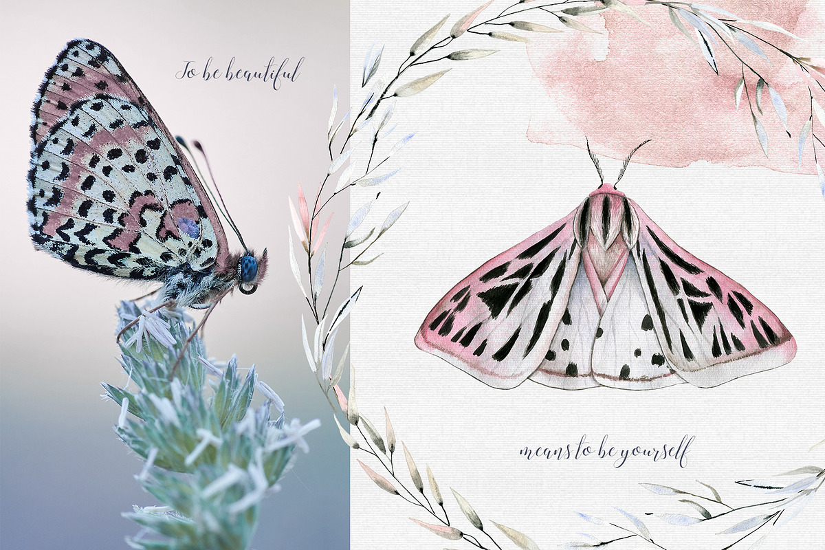 Mavra. Watercolor graphic set, a Decorative Illustration by Bibela (Photo 3 of 14)