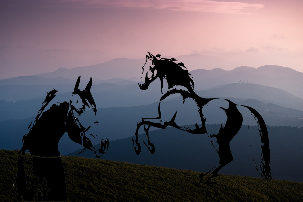 Hand drawn horse collection, vector, an Animal Illustration by AnastasiyaOleynik (Photo 5 of 11)