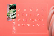 Rollgates Modern Sans, a Sans Serif Font by Cotbada_studio (Thumbnail 5 of 10)