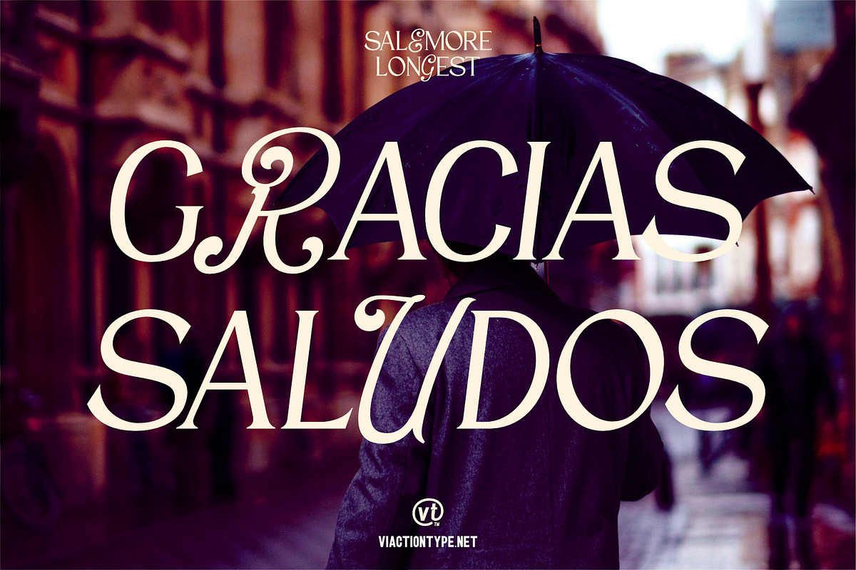VT Salemore Longest Font Combination, a Serif Font by ViactionType (Photo 13 of 13)
