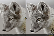 Painting Photoshop Action, an Action Add-On by Willa (Thumbnail 8 of 11)