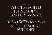 Buger Elegant Serif Font Typeface, a Serif Font by Perfectype (Thumbnail 7 of 7)