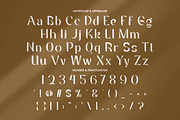 Agasiz - Modern Display Font, a Sans Serif Font by PutraCetol Studio (Thumbnail 10 of 11)