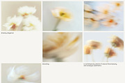 FLORET Blur Flower Backgrounds, a Background Graphic by Aesthetic Eye (Thumbnail 10 of 19)