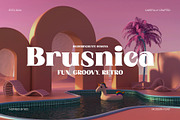 Brusnica - Retro Serif Font, a Serif Font by BilberryCreates (Thumbnail 1 of 17)