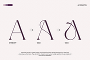 GC Adelite - Stylish Chic Serif, a Serif Font by Glyphonic (Thumbnail 5 of 15)