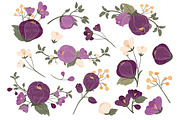 Plum Floral Clipart & Vectors, an Illustration by Amanda Ilkov (Thumbnail 2 of 3)