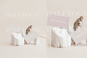 Modern Neutral Card Mockup Bundle, a Mockup by HALFTOUNE (Thumbnail 13 of 13)