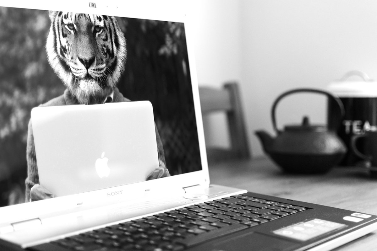 Sony Vaio HD Display Mockup, a Product Mockup by Nuff (Photo 4 of 4)