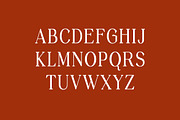 Grisandore Elegant Serif Font, a Serif Font by UICreative (Thumbnail 7 of 13)