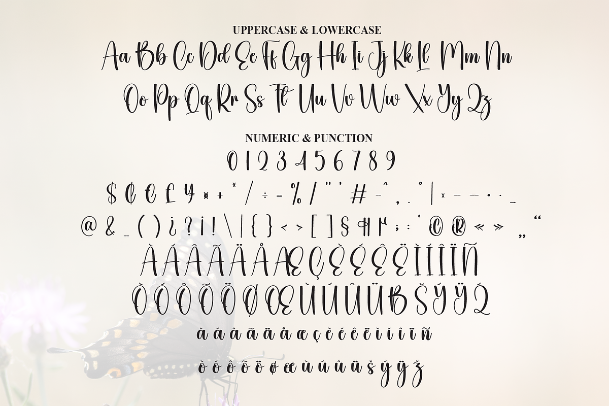 Butterfly | Script Font, a Handwritten Font by Scratchones (Photo 7 of 8)