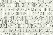 Mounchera - Art Deco Serif, a Serif Font by Variatype (Thumbnail 8 of 14)
