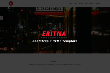 Eritna - Agency & Portfolio Template
