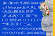 Emblora Modern Display Serif, a Script Font by timelesstype.co (Thumbnail 19 of 20)