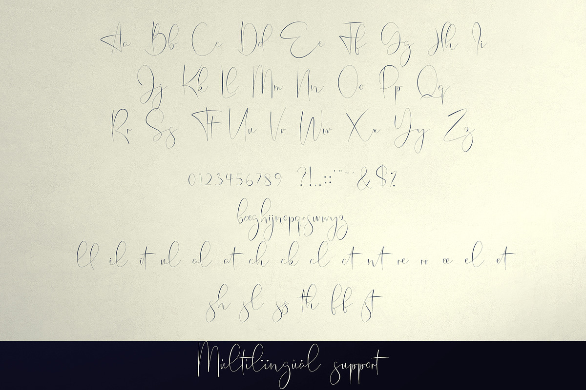 Belinda Tamira - Font duo + 20 Logos, a Serif Font by VP Fonts (Photo 10 of 12)