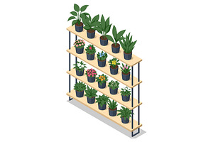 Isometric potted plant display shelf
