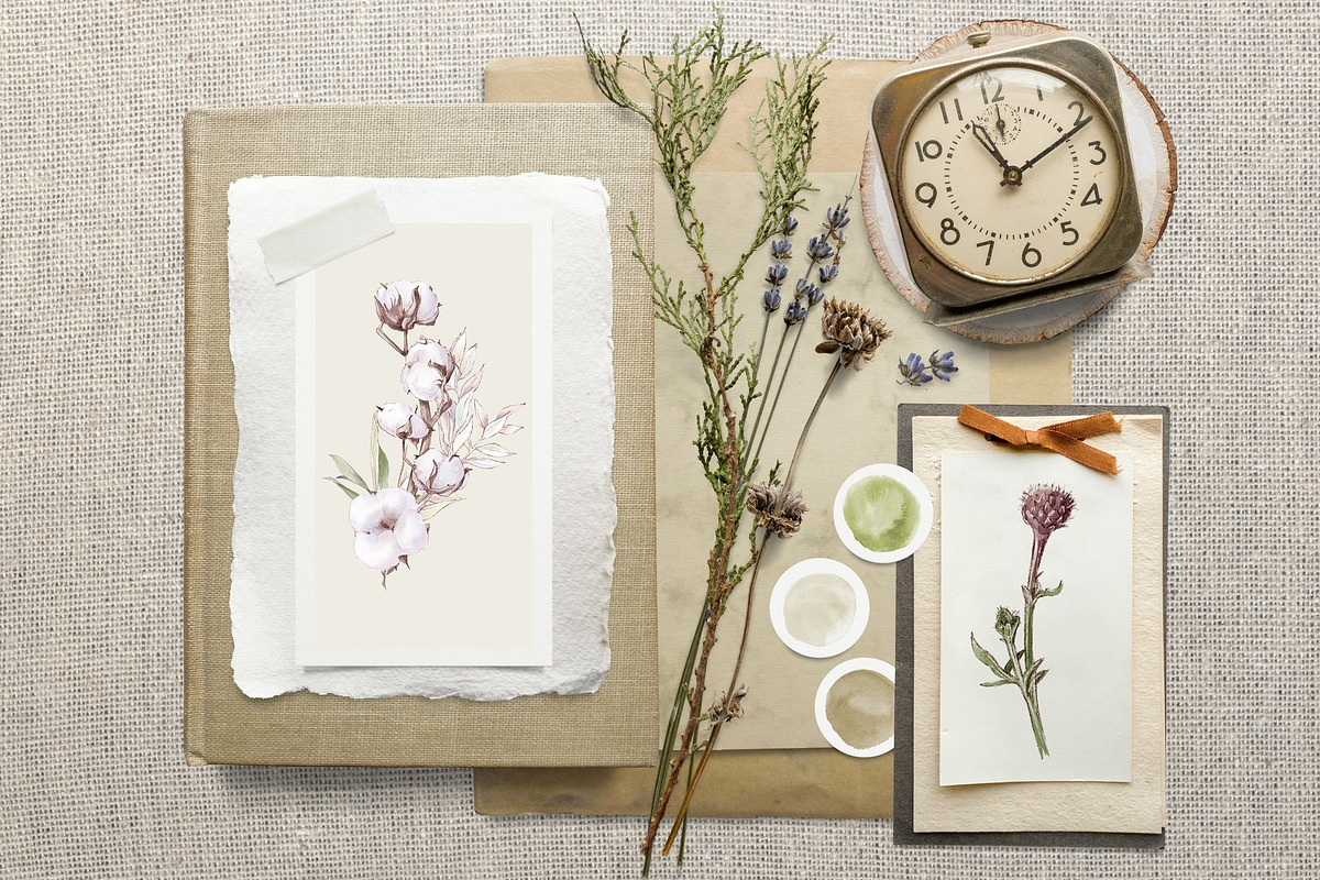 Watercolor Sunflowers and Cotton, an Illustration by Yuliya Art (Photo 7 of 24)