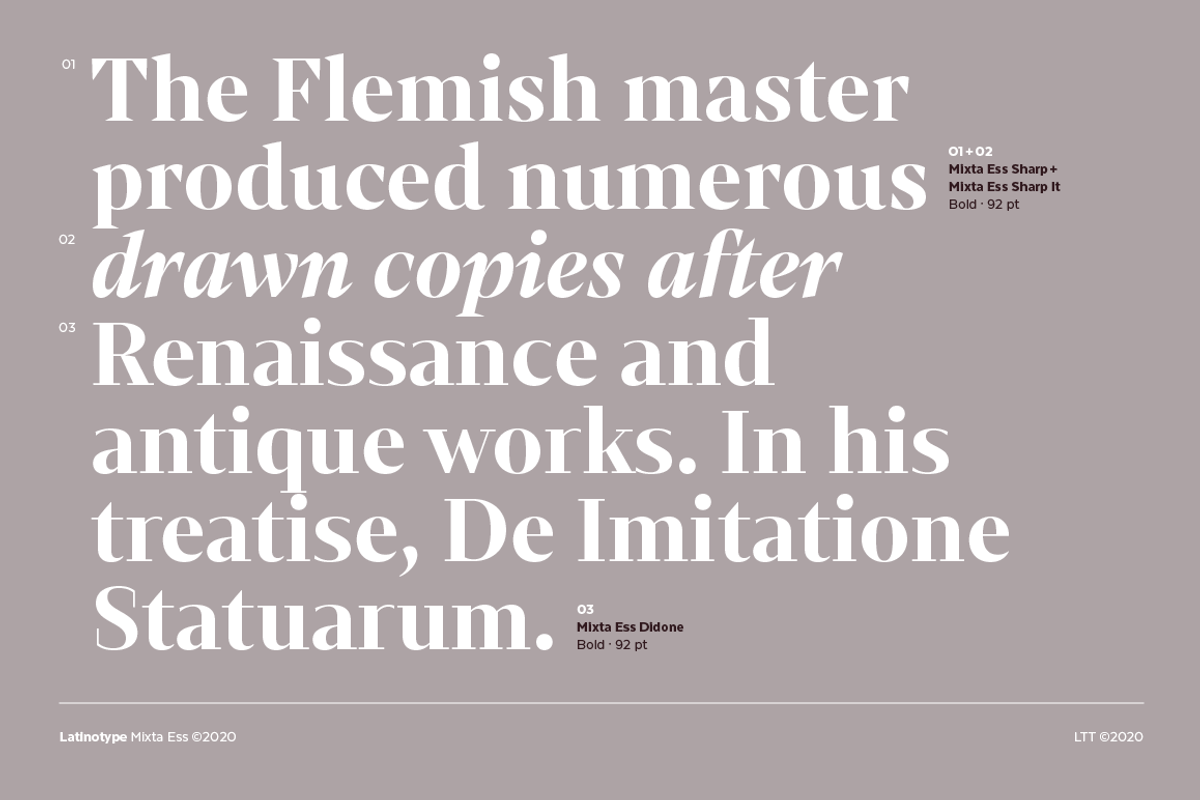 Mixta Essential, a Serif Font by Latinotype (Photo 2 of 14)