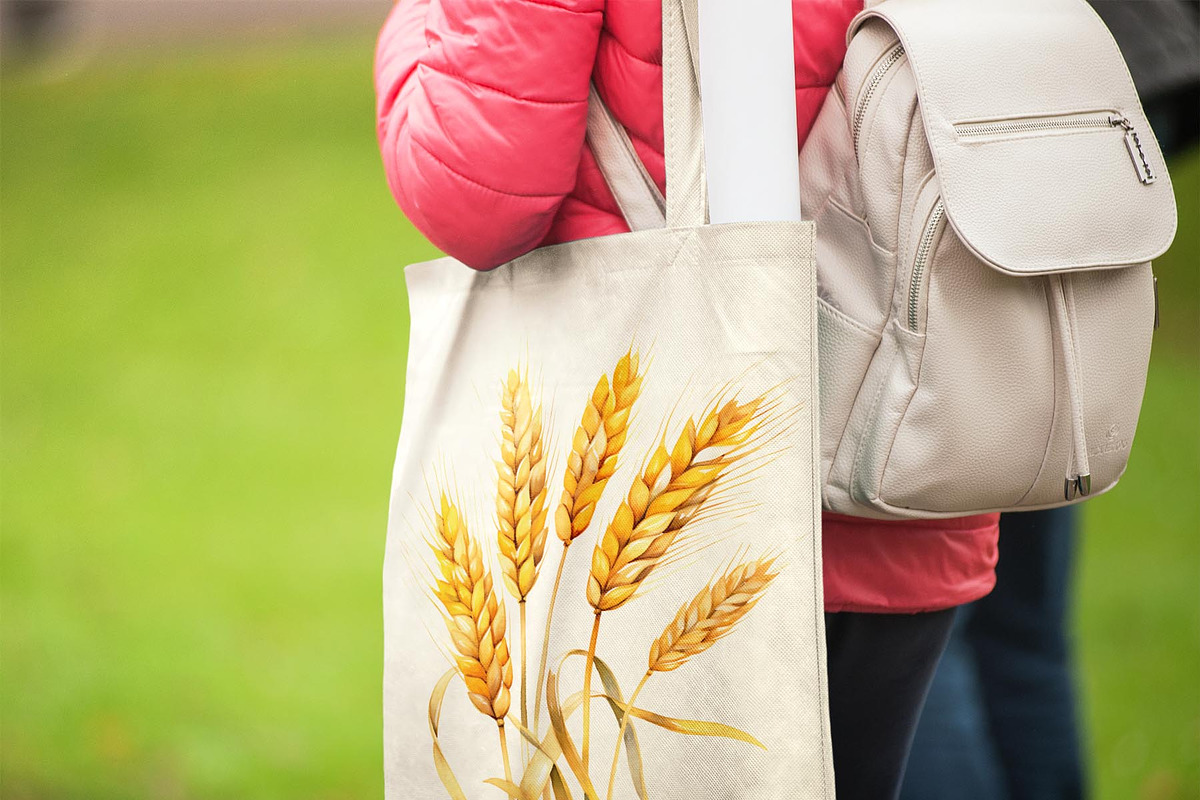 Wheat Watercolor Clipart, an Illustration by Anny Sketches (Photo 7 of 7)