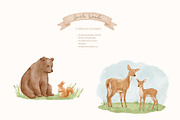 Watercolor Forest Animals Clipart, an Animal Illustration by ElenaPlatovaArt (Thumbnail 2 of 18)