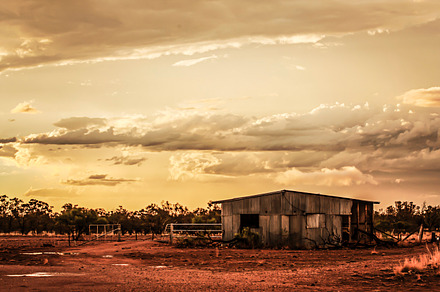 In the calm after the storm featuring landscape, shed, and