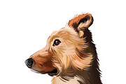 Puppies Dog Breeds Big Bundle 135Pcs, an Animal Illustration by Dneprstock (Thumbnail 11 of 68)