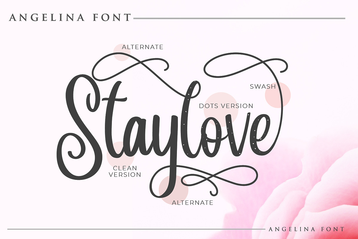 Angelina Script- Beautiful Handwritt, a Script Font by din-studio.com (Photo 2 of 11)