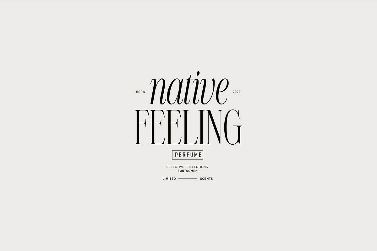 NT VALENTINO, a Serif Font by nevsky.type (Photo 9 of 11)