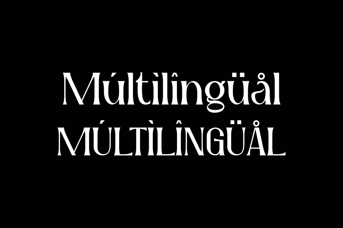 Ragkote - Modern Serif Font, a Serif Font by QR Design Studio (Photo 4 of 11)