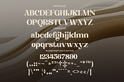 Bedross - Modern Elegant Serif, a Serif Font by Qweera Studio (Thumbnail 11 of 12)