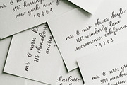Reception to Follow, a Script Font by Lone Star Lettering (Thumbnail 3 of 13)