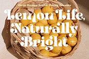 Twilight Mystic Modern Retro Serif, a Serif Font by timelesstype.co (Thumbnail 17 of 20)